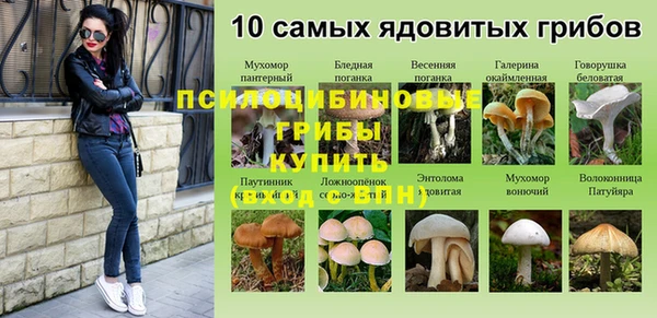 дживик Алексеевка