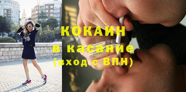 твердый Алзамай