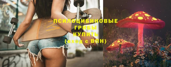 твердый Алзамай