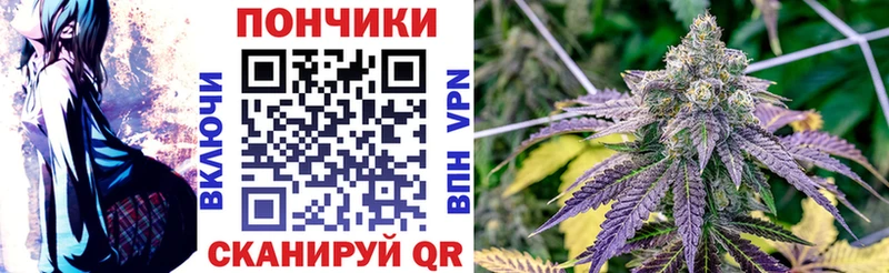 Канабис ГИДРОПОН  Сасово 
